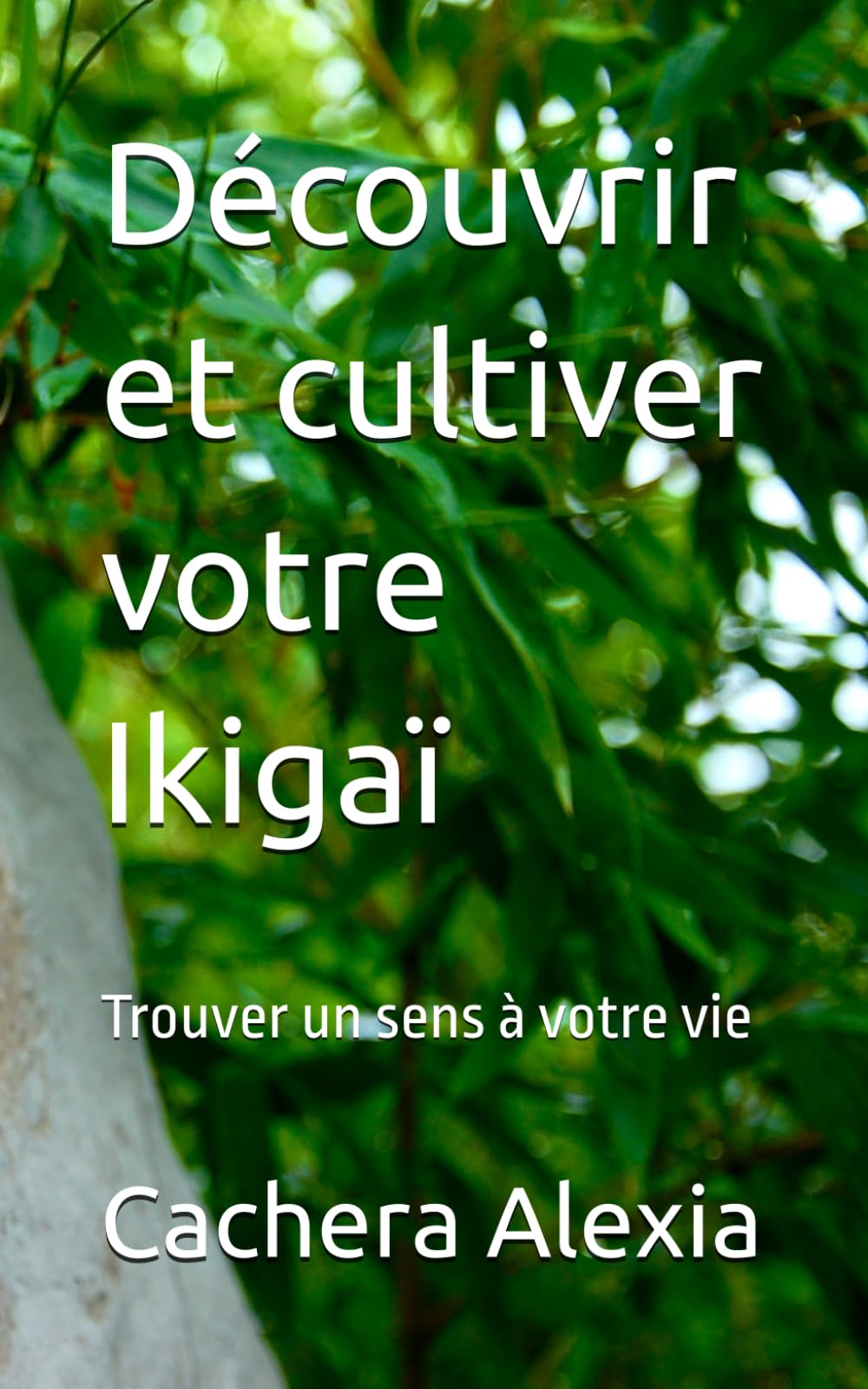 Découvrir et cultiver votre Ikigaï: Trouver un sens à votre vie