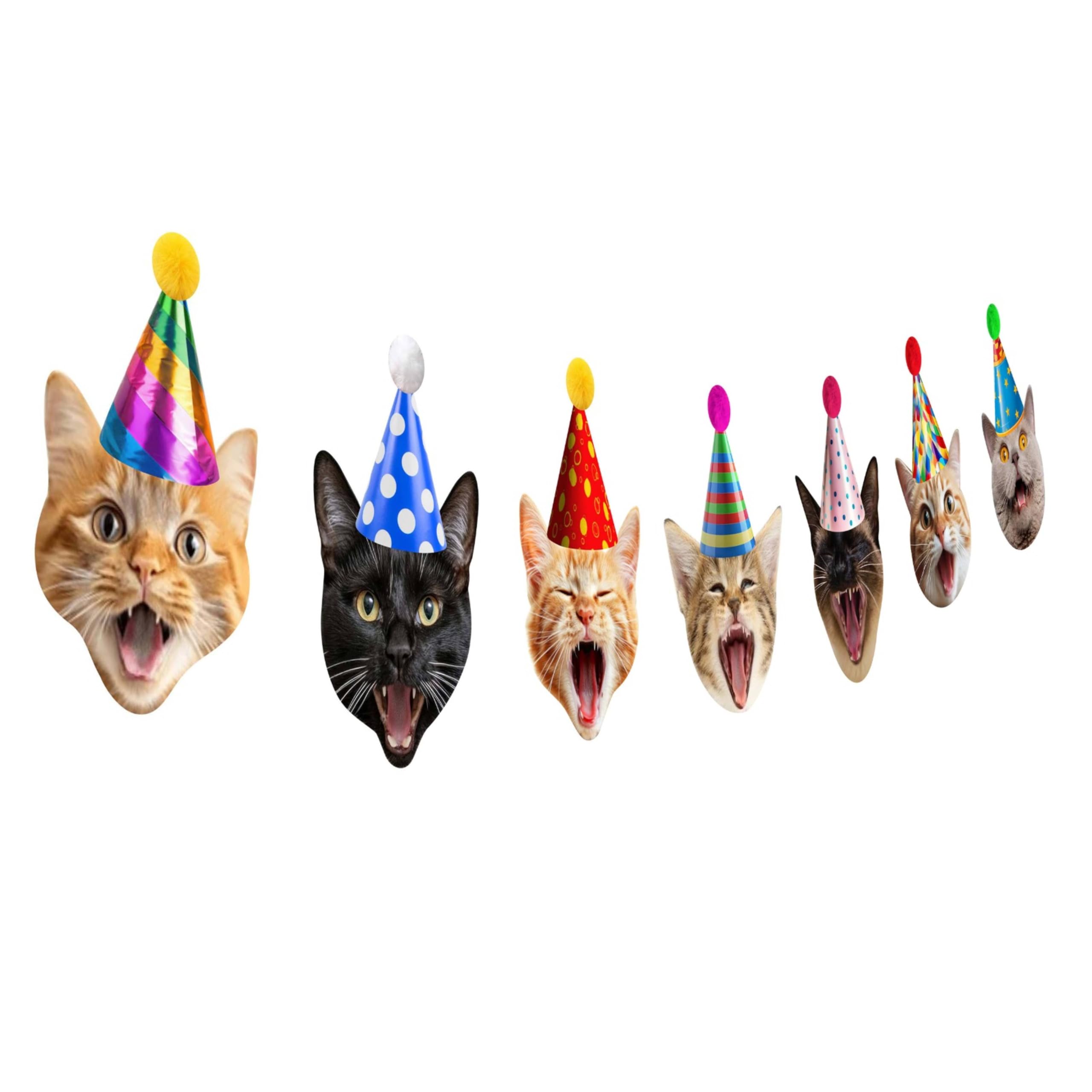 Guirlande pour chat : décoration anniversaire et fête