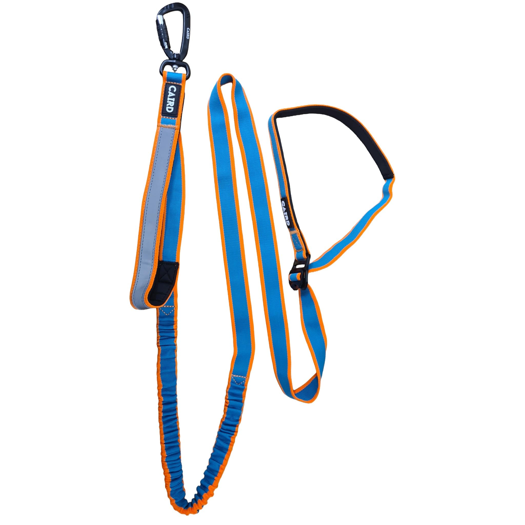 CAIRD Laisse pour chien Bungee Freedom to Run mains libres avec poignée rembourrée, ceinture réglable et mousqueton en aluminium (orange et turquoise)