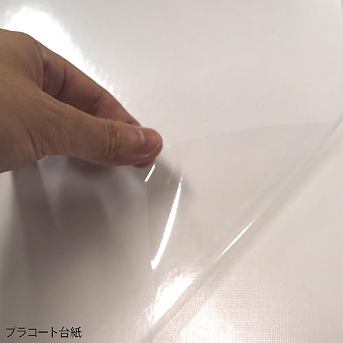 Miniatura 3 de Nakabayashi Fueruarubamu L talla sum A-LW-304-2 (importación de Japón)