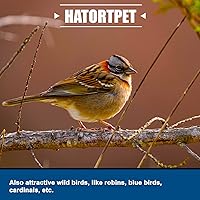 Vista 4 de Hatortpet Larvas de mosca soldado negro secado alto calcio 5LB para pollos, pájaros, reptiles