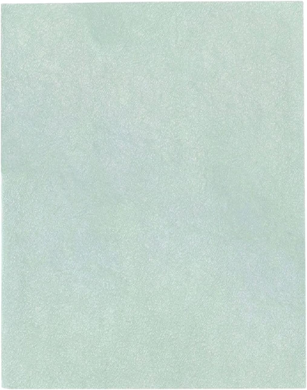 Filter-Monster Replacement Filter Pack for Bissell 2520/2521 Filters