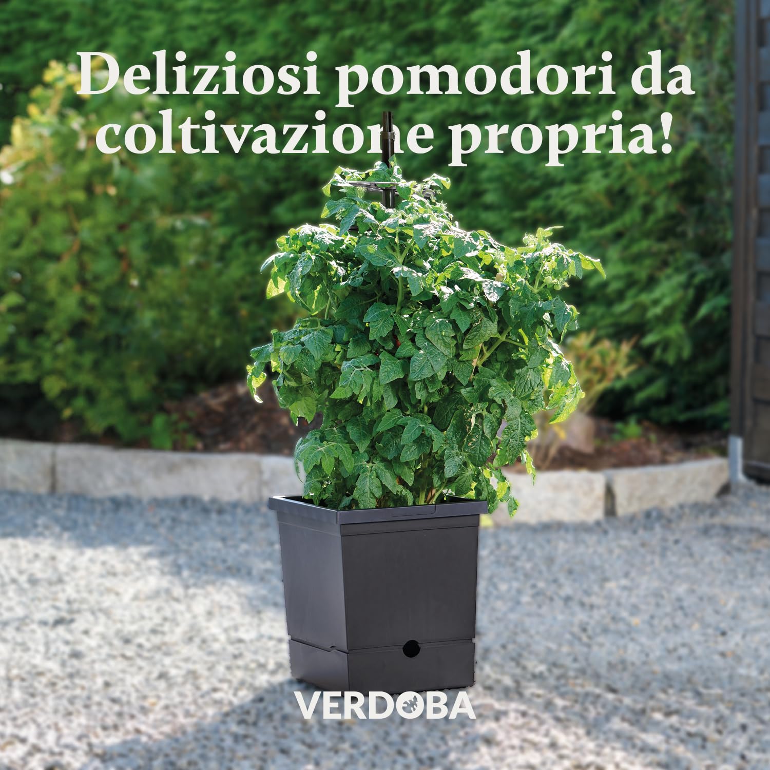 Tymar Vaso Per Pomodori Con Traliccio E Serbatoio D'Acqua (5 Pezzi, ø 30cm, 12L) - Ideale Per Balcone