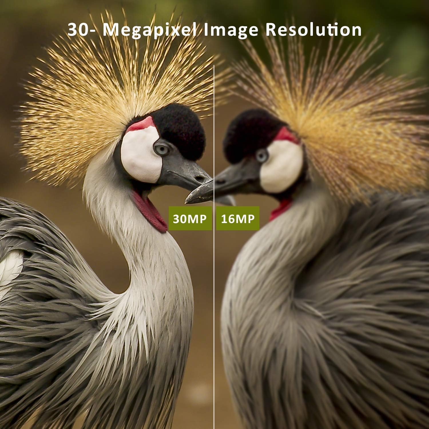 Frее Shірріng оƒƒеr OUDMON Trail Game Camera, 1080P Hunting Cam for Wildlife with Night Vision Motion Activated and No Glow IR LEDs, Waterproof IP67 60% оƒƒ Dіѕсоunt OUDMON Trail Game Camera, 1080P Hunting Cam for Wildlife with Night Vision Motion Activated and No Glow IR LEDs, Waterproof IP67