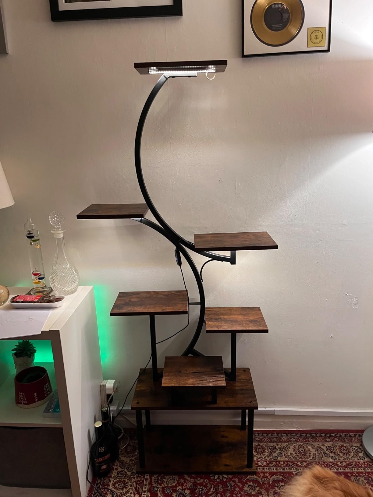 Customer photo