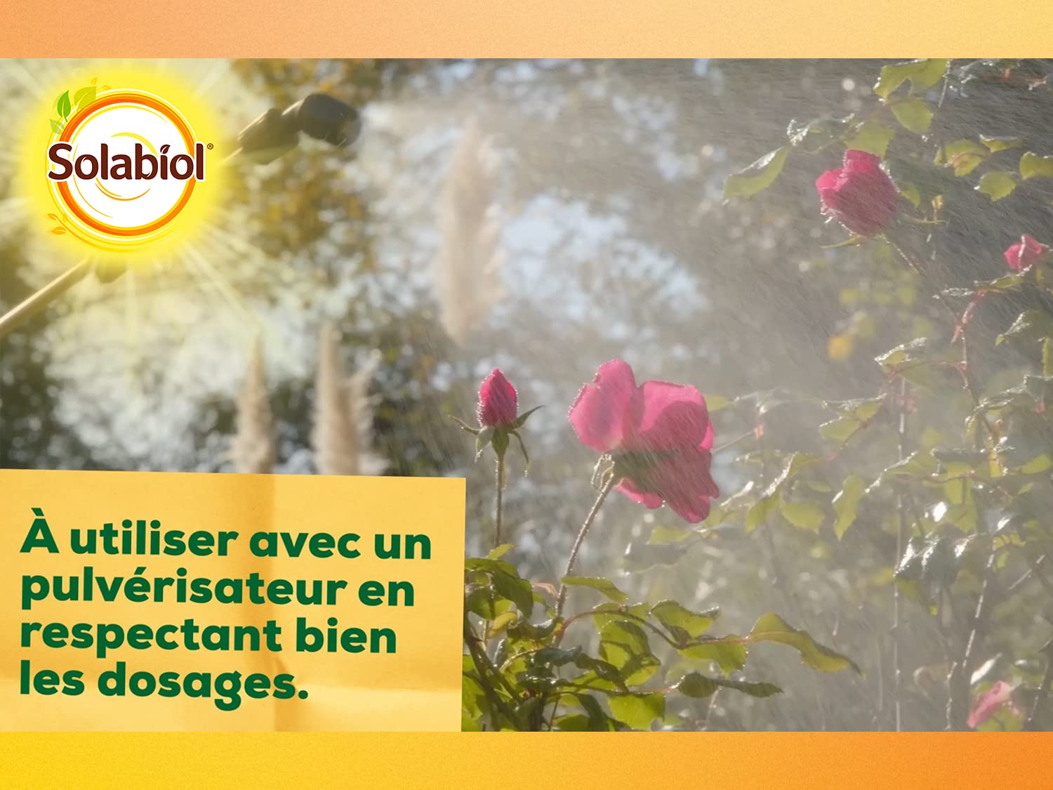 SOLABIOL Anti Cochenilles - 500ml - 25L De Solution - Élimine Oeufs Larves & Adultes - Effets Rapides En 24/48H - Utilisable En Agriculture Biologique SOCOC500