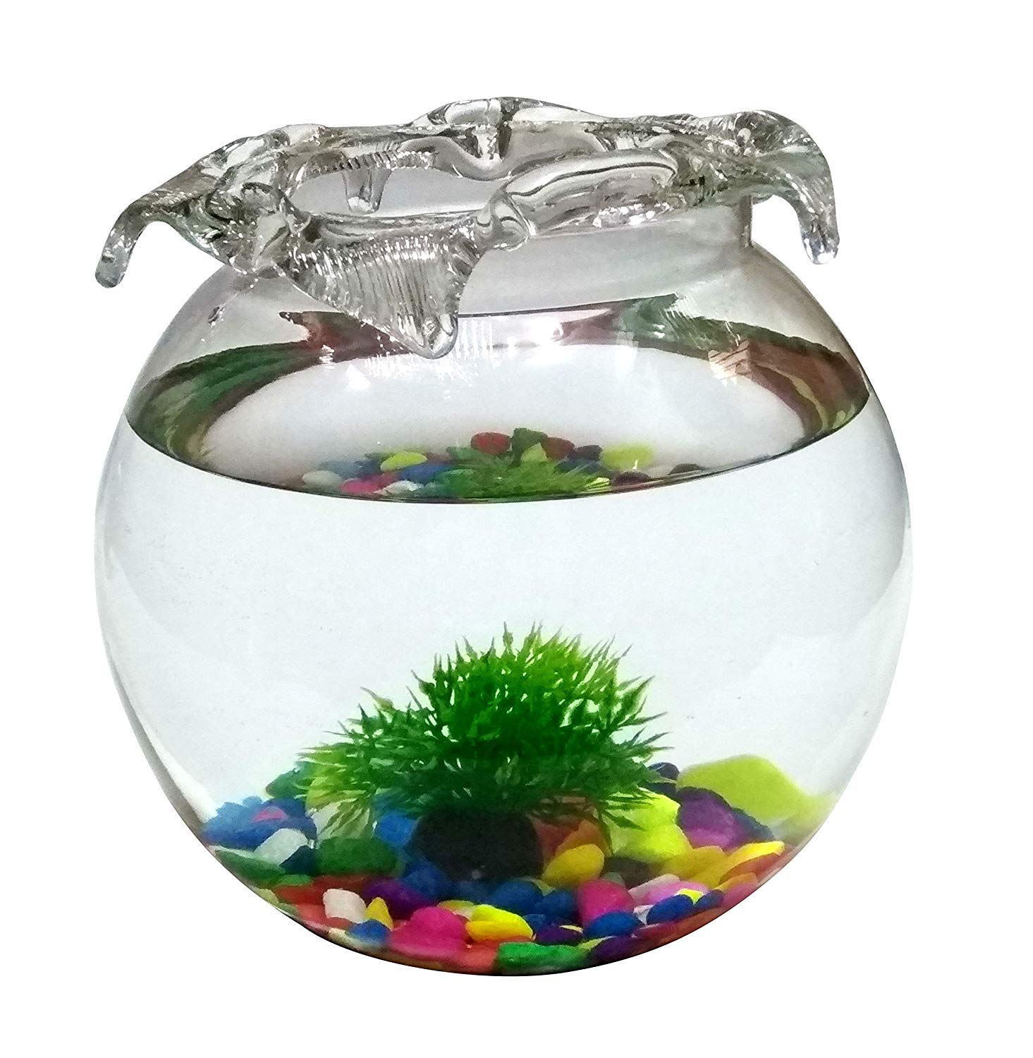 See full amazon price history chart for ABG ROUND GLASS TERRARIUM/AQUARIUM VESSEL. ONE UNIT WITH COLORFUL STONES, ONE ARTIFICIAL PLANT AND TWO ARTIFICIAL FISH.8 INCH ABG ROUND GLASS TERRARIUM/AQUARIUM VESSEL. ONE UNIT WITH COLORFUL STONES, ONE ARTIFICIAL PLANT AND TWO ARTIFICIAL FISH.8 INCH (B07P2TL67K) Amazon Price History, Amazon Price Tracker