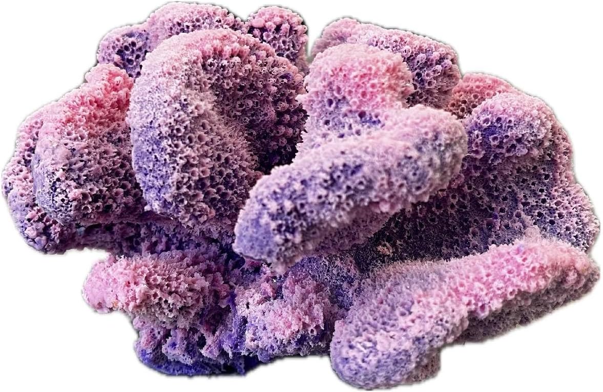 Ocean Aquaria Artificial Cauliflower Acropora – Artificial Coral for Fish Tank & Aquarium Decor #121
