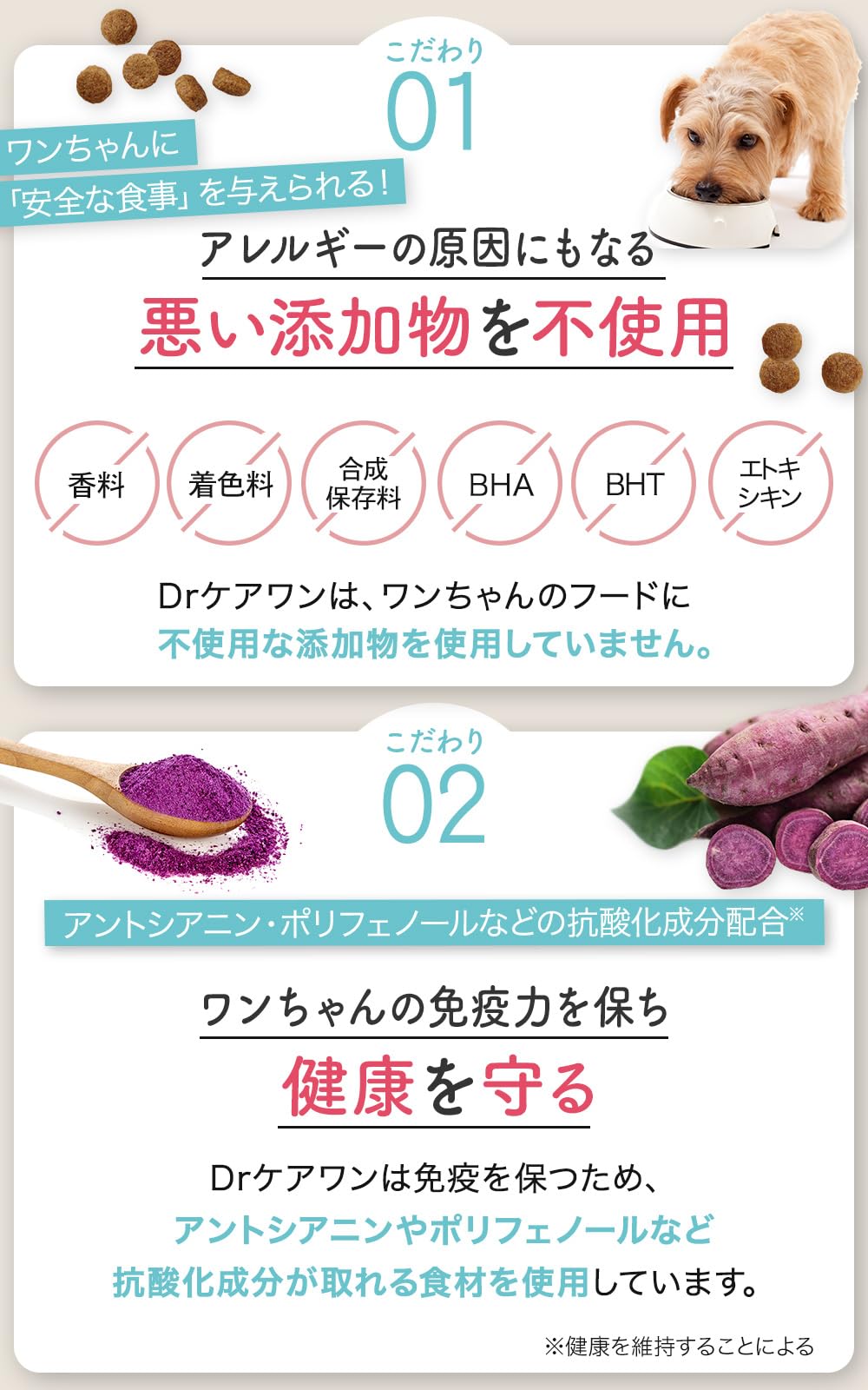 Amazon.co.jp: 【動物栄養学博士監修】Drケアワン 国産無添加