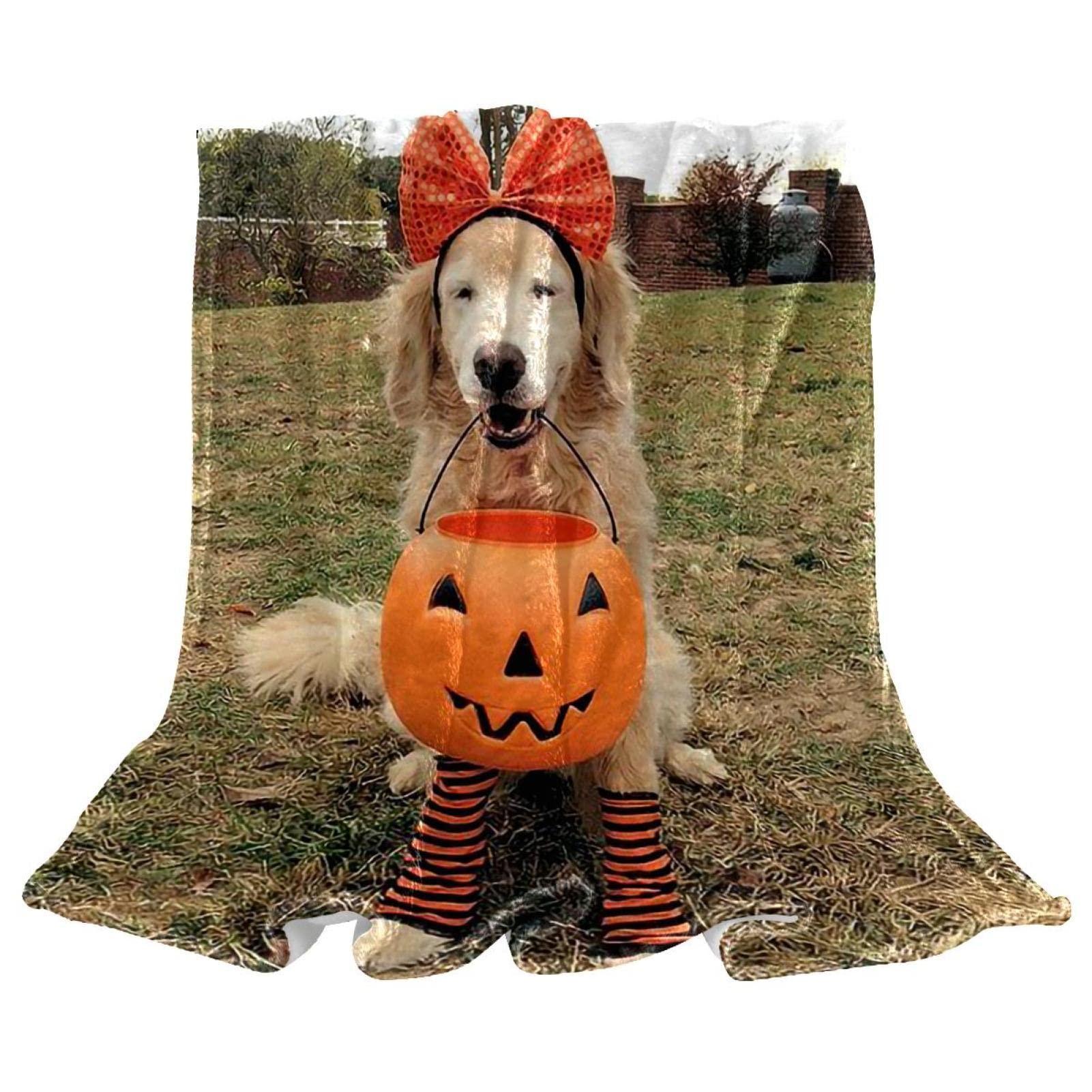 Couverture de sieste motif chien Golden pour vos soirées