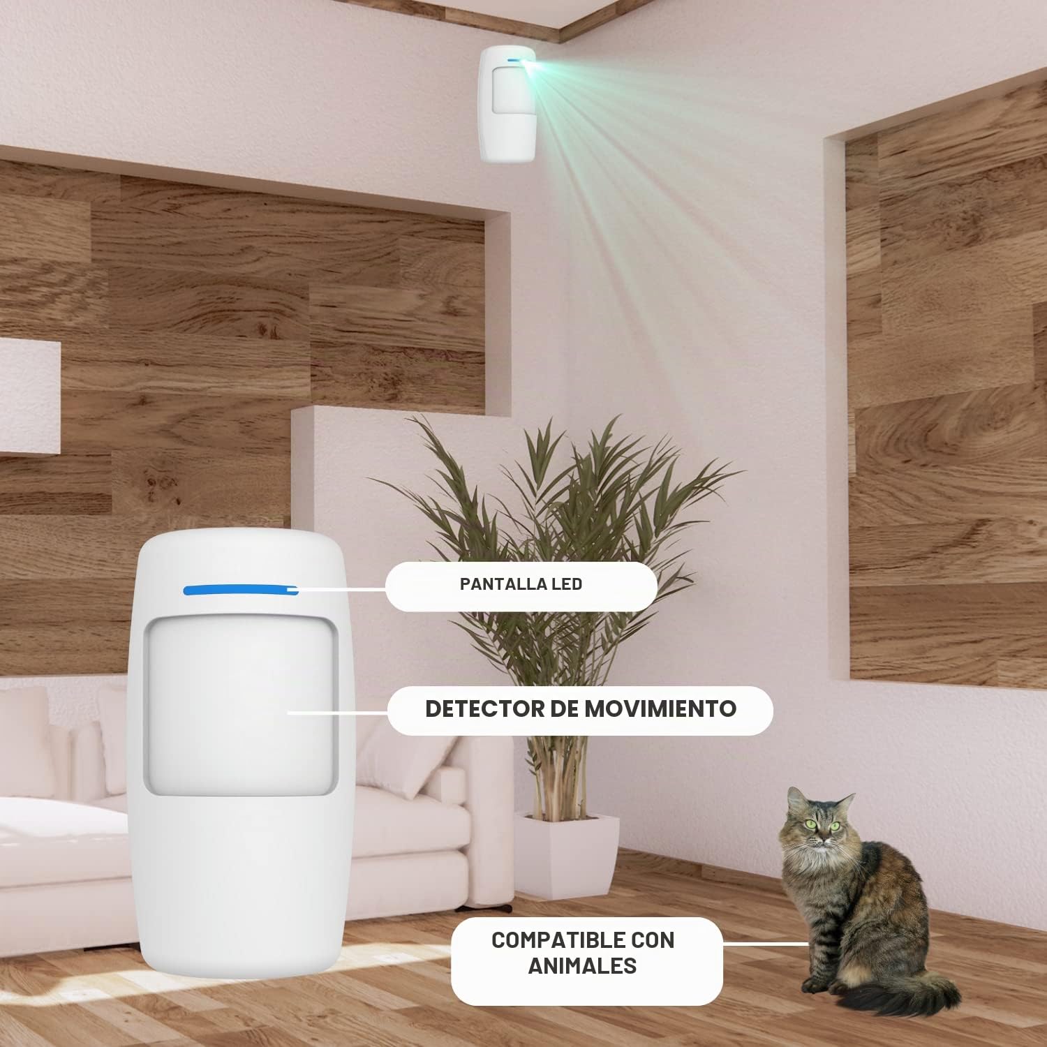 Daewoo - Kit de Alarma AM301, Central de Pantalla táctil, Detector de Movimiento Apto para Animales, contactores de Puerta y mandos a Distancia, Control Remoto Seguro