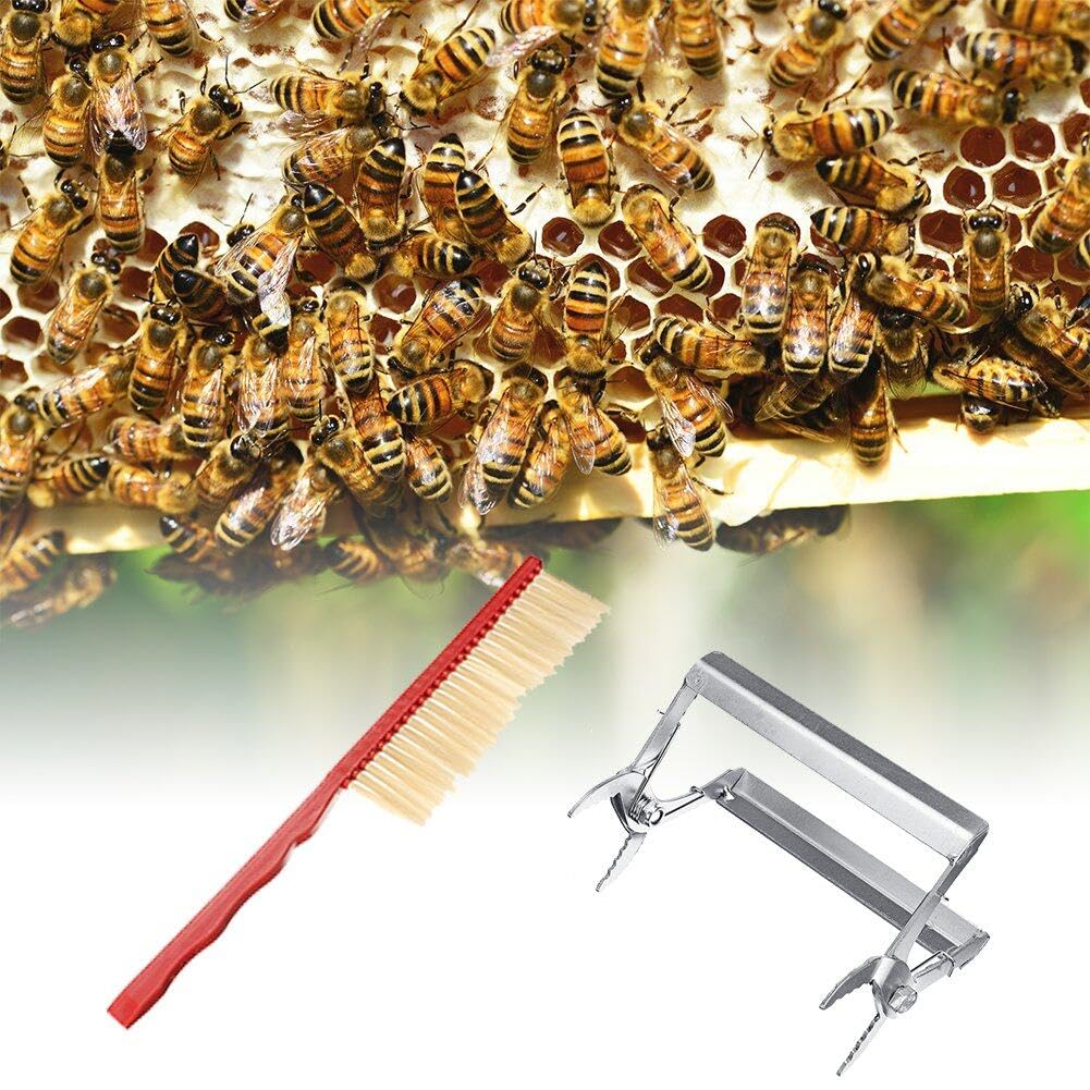 Kit di Strumenti per Apicoltura Spazzola Professionale per api Strumento per Alveare Kit di Avvio Riutilizzabile per Apicoltore Attrezzatura per Apicoltura