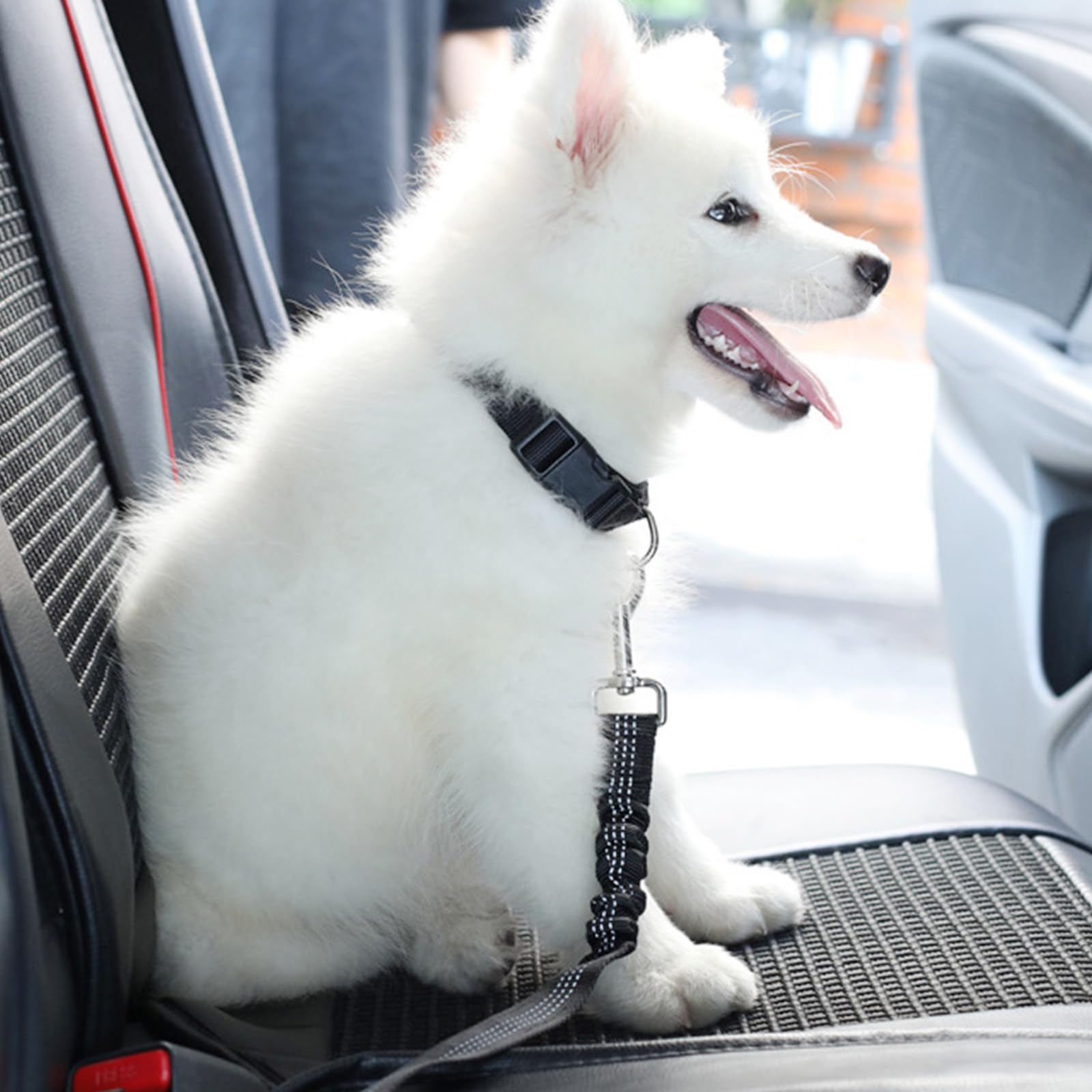 1Pièces Étirement Le Plus Long : 80 cm Ceinture Chien Voiture réglable avec,Attache Ceinture Chien Voiture,Laisse Voiture Chien,Harnais Voiture Chien en Elastique,pour Chiens et Chats-Noir