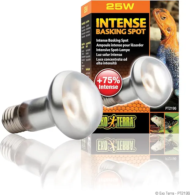 Lampe Spot Intense 150W pour Terrarium Pogona - Zone Prélassement