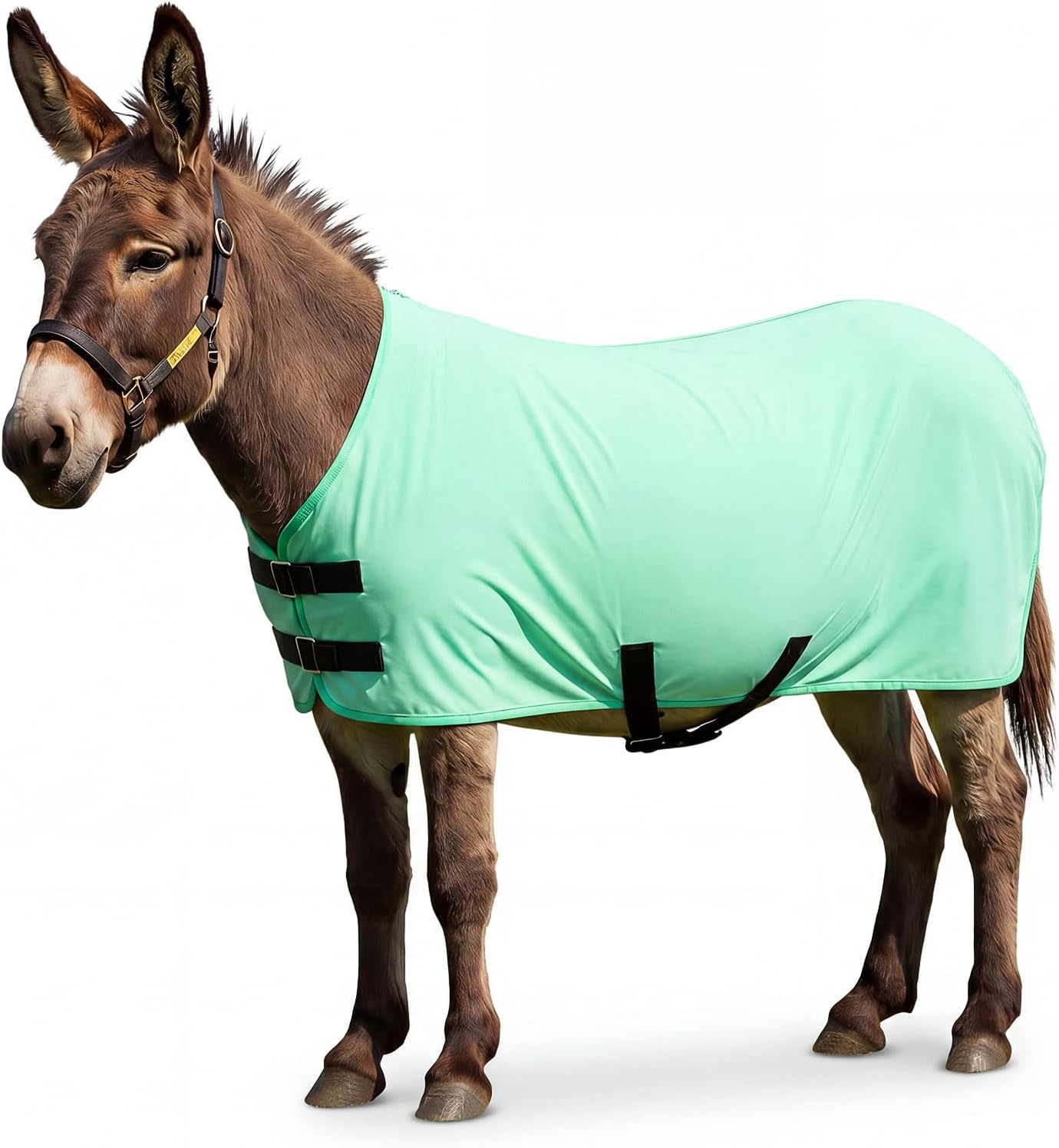 Donkey Fly Sheet, Lightweight UV Protective Mesh Fly Blanket for Donkey, Breathable Summer Bug Shield for Outdoor with Adjustable Neck Closure & Belly Straps, Mint Green(Mini)
