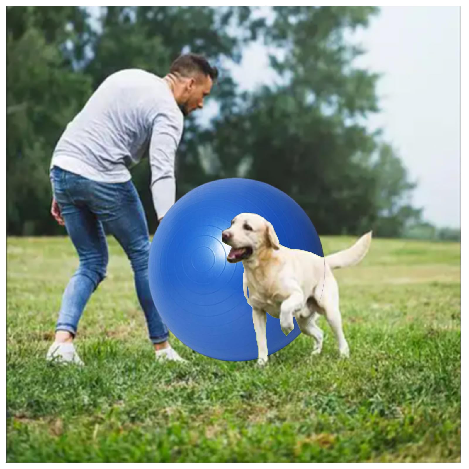 mwater Dogs Herding Ball Large 25 Inch