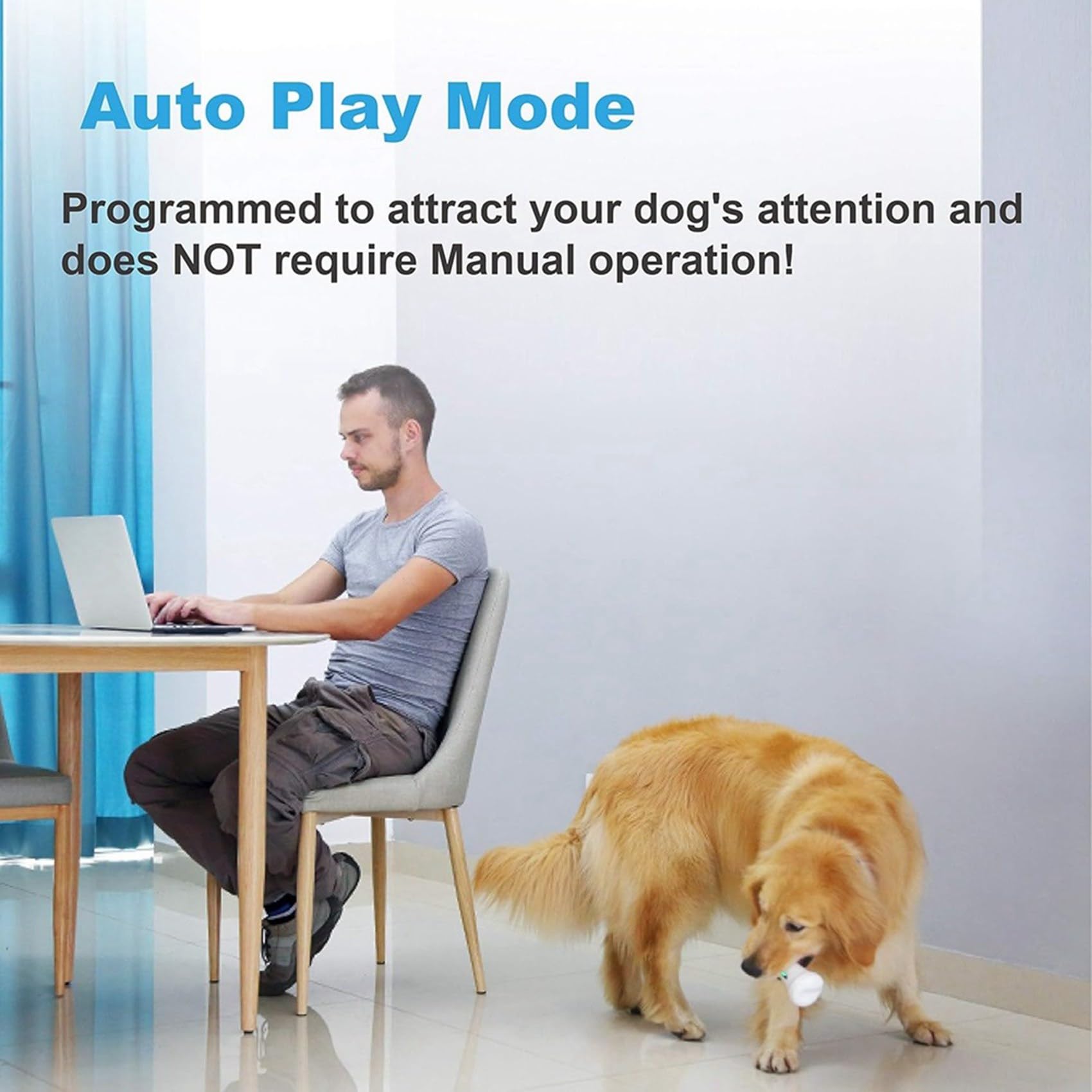 Interaktives Spielzeug für Hunde, Welpen und Katzen, Halte Dein Haustier Den Ganzen Tag Unterhalten, App-Gesteuert, Sicher und Langlebig.