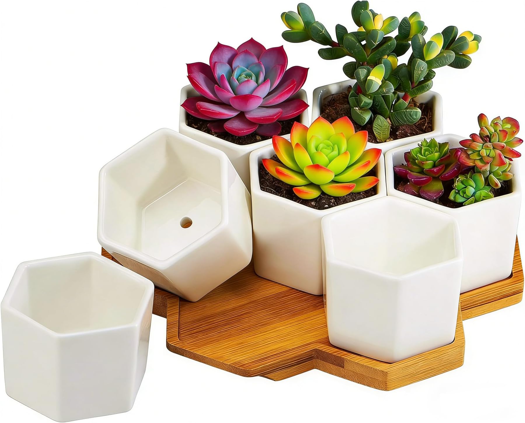 FLOWERPLUS Planter Pots Indoor, 7 Pack 2.75 Inch Modern White Ceramic Small Hex Succulent Cactus Flower Plant Pot with Bamboo Tray for Indoors Outdoor Office Home Garden Kitchen Decor (Hexagon)