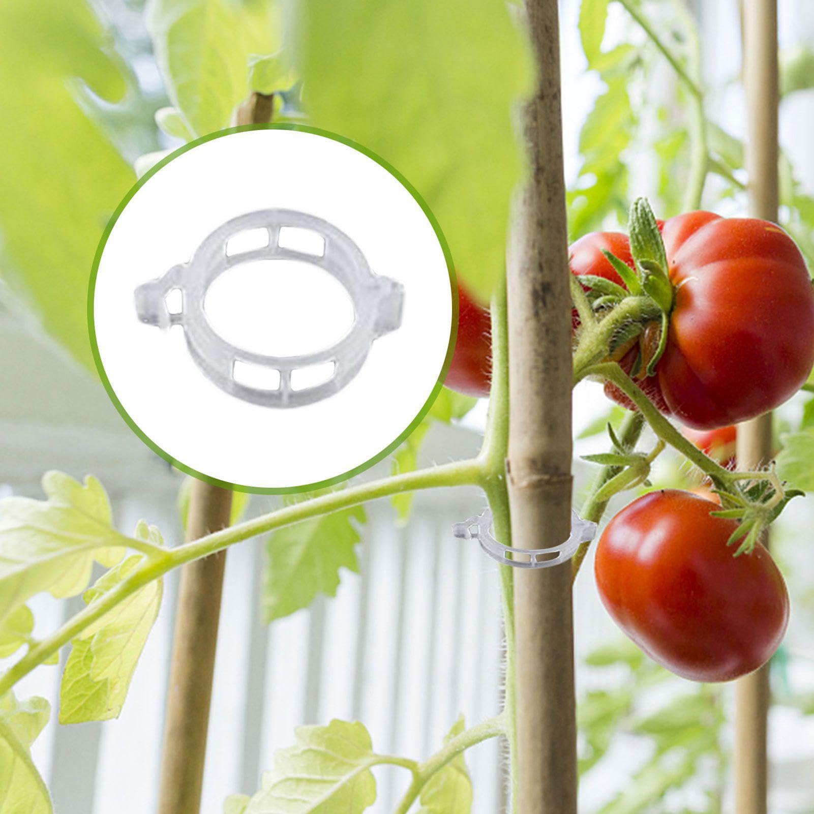 Ganci per Pomodori Con Cordino E Clip Di Supporto Anti-Pizzicamento | 40 Ganci Per Rampicanti, Fiori E Piante Per Cetrioli, Frutta, Colture, Interno Ed Esterno, Giardino, Fattoria, Patio, Serra