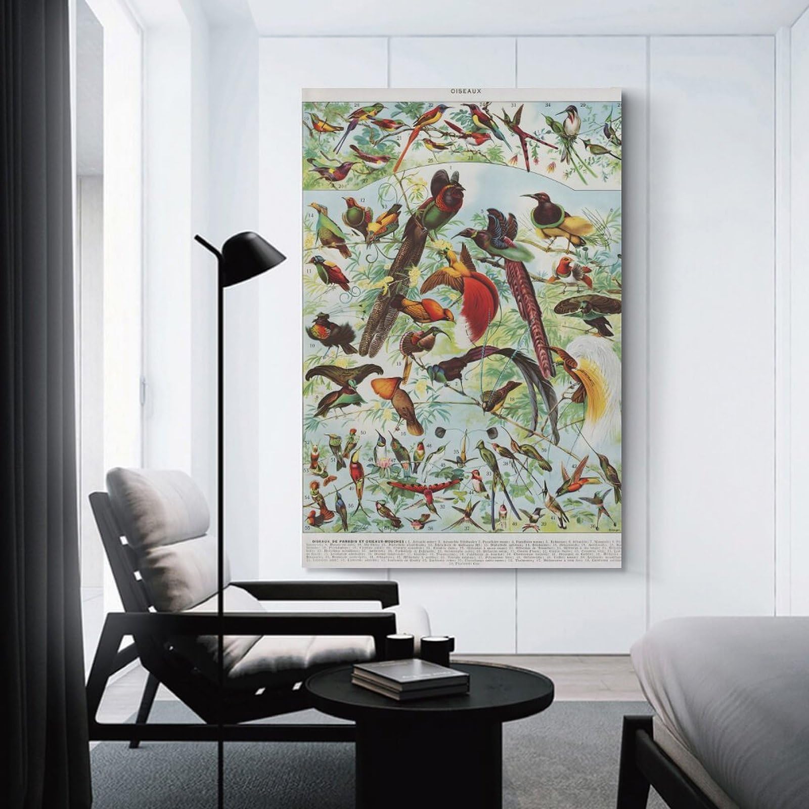 Junmoney Canvas Art Print Oiseaux Birds, 20x30inch(50x75cm), for Office, Study Or Home Workspace, Home Office Artwork with Decorative Appeal
