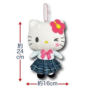 Amazon.co.jp: 畑山商事 サンリオ ギャルシリーズ ビッグポーチ