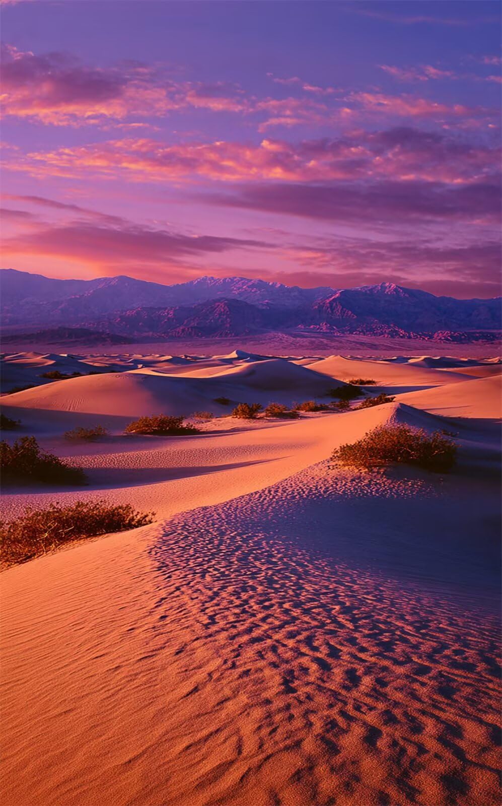 Puzzle 1200 Pezzi per Adulti Tramonto Nel Deserto Gioco Educativo Divertimento Impossible Difficile Puzzle per Adulti 1200 Pezzi 75 x 50 cm