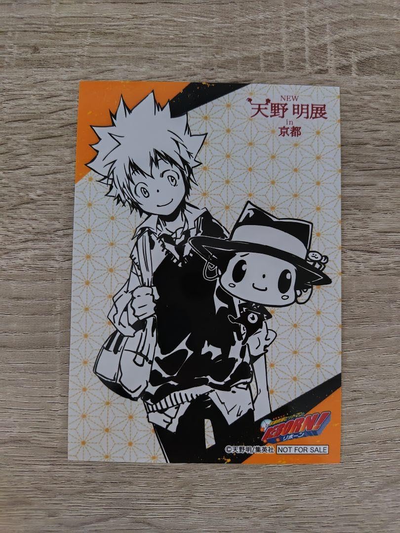 天野明展 中野 日替わりステッカー 沢田綱吉 リボーン ポストカード 天野明展 中野 日替わりステッカー 沢田綱吉 リボーン ポストカード