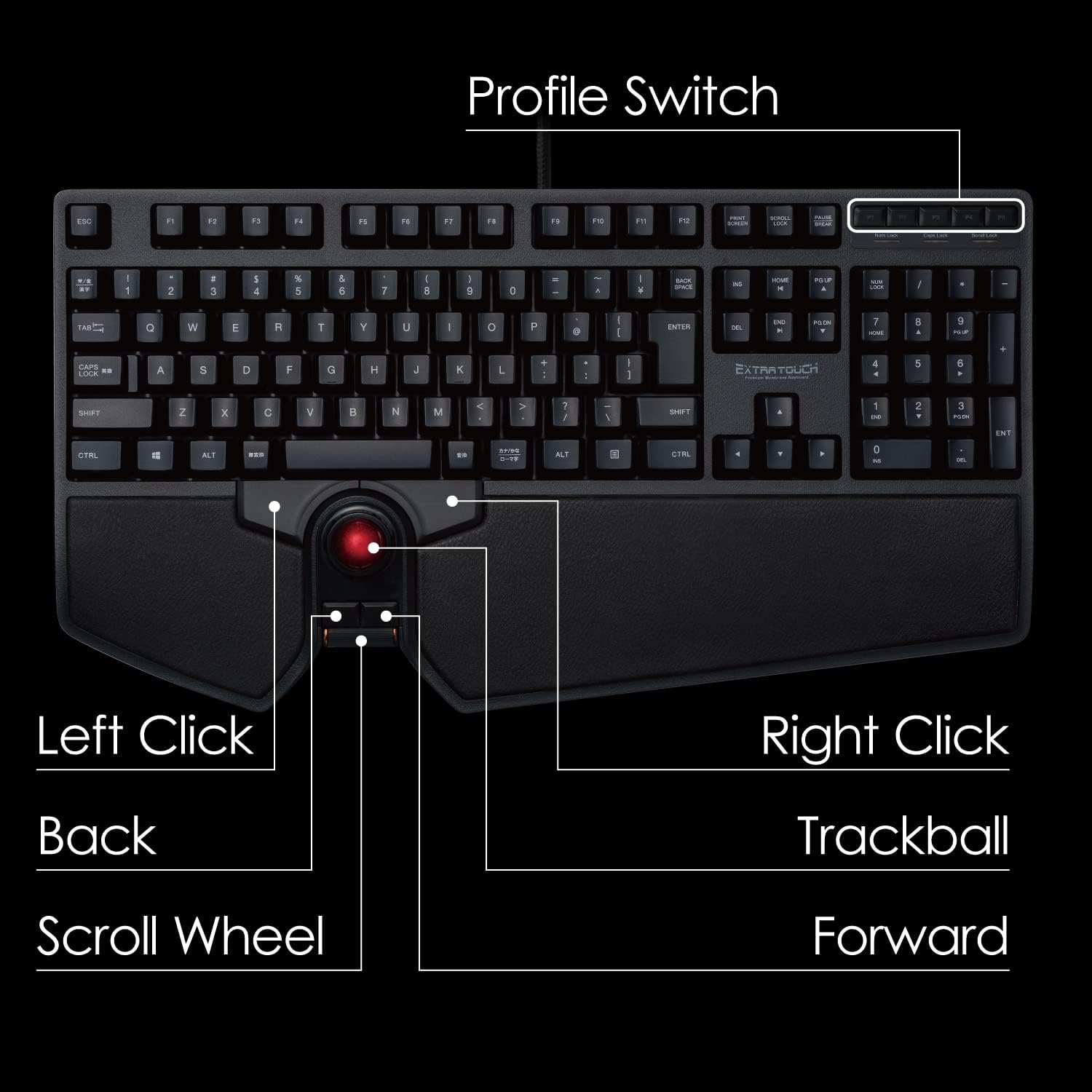 Suреr Chеар 🛒 ELECOM -Japan Brand- Wired Keyboard with Built-in Trackball & Scroll Wheel, Pointing and Scrolling Feature, Precise Control, for Gaming, Ergonomic Comfort, Japanese Layout, Windows/Mac (TK-TB01UMBK)