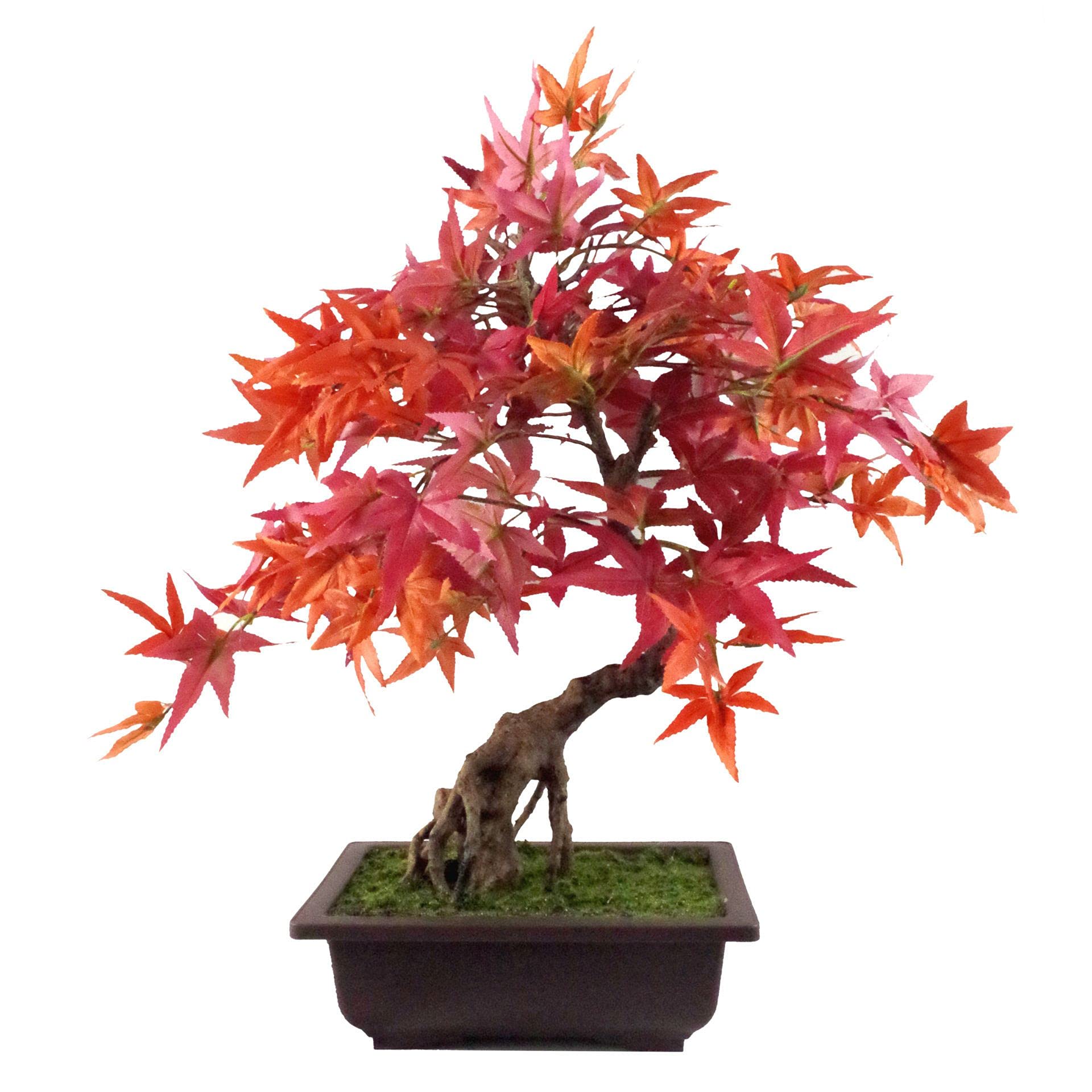 Leaf Artificial Acer Bonsai Tree - Red - Plastic Pot - 1.6ft