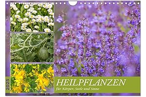 Nhv Flower Essence Calendar 2025