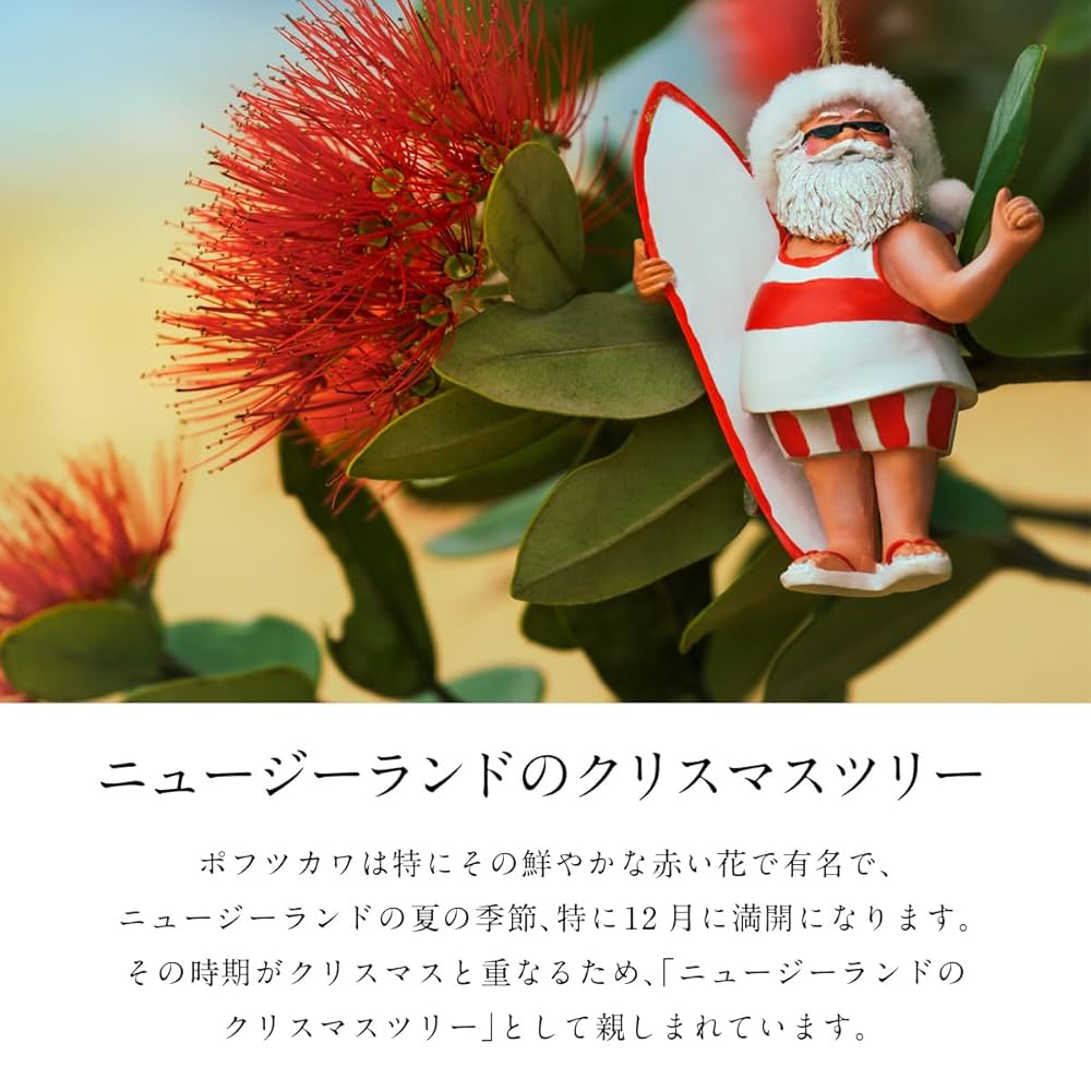 Amazon.co.jp: 正栄 ニュージーランド産 ニュージーランド