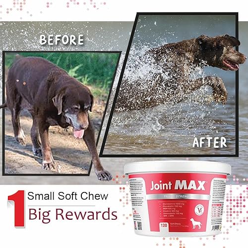 Vista 8 de PHS Joint Max Triple Strength (TS) Masticables suaves para perros, glucosamina, condroitina, MSM, cúrcuma, Omega 3, alivio del dolor de cadera