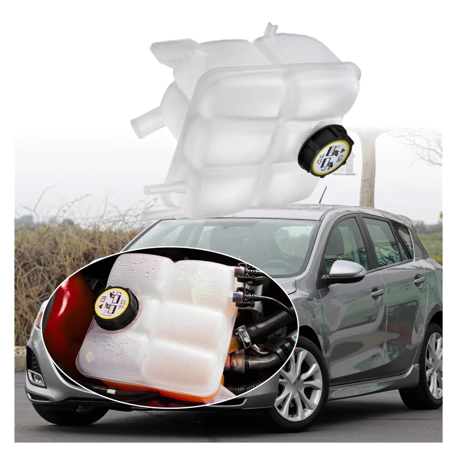 Depósito de expansión de refrigerante para BMW F20 F22 F23 F30 F31 F34 F32 F33 F36 B48 B58 Depósito de expansión de refrigerante con Tapa 17138677649 17117639020