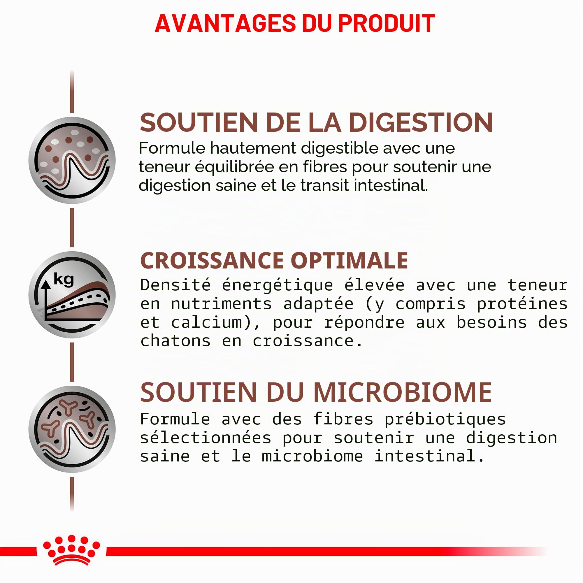 Royal Canin Gastrointestinal Kitten Féline | Lot de 4 | 4 x 400 g | Aliment diététique Complet pour Chatons | Peut Aider à réduire Les Troubles Gastro-intestinaux