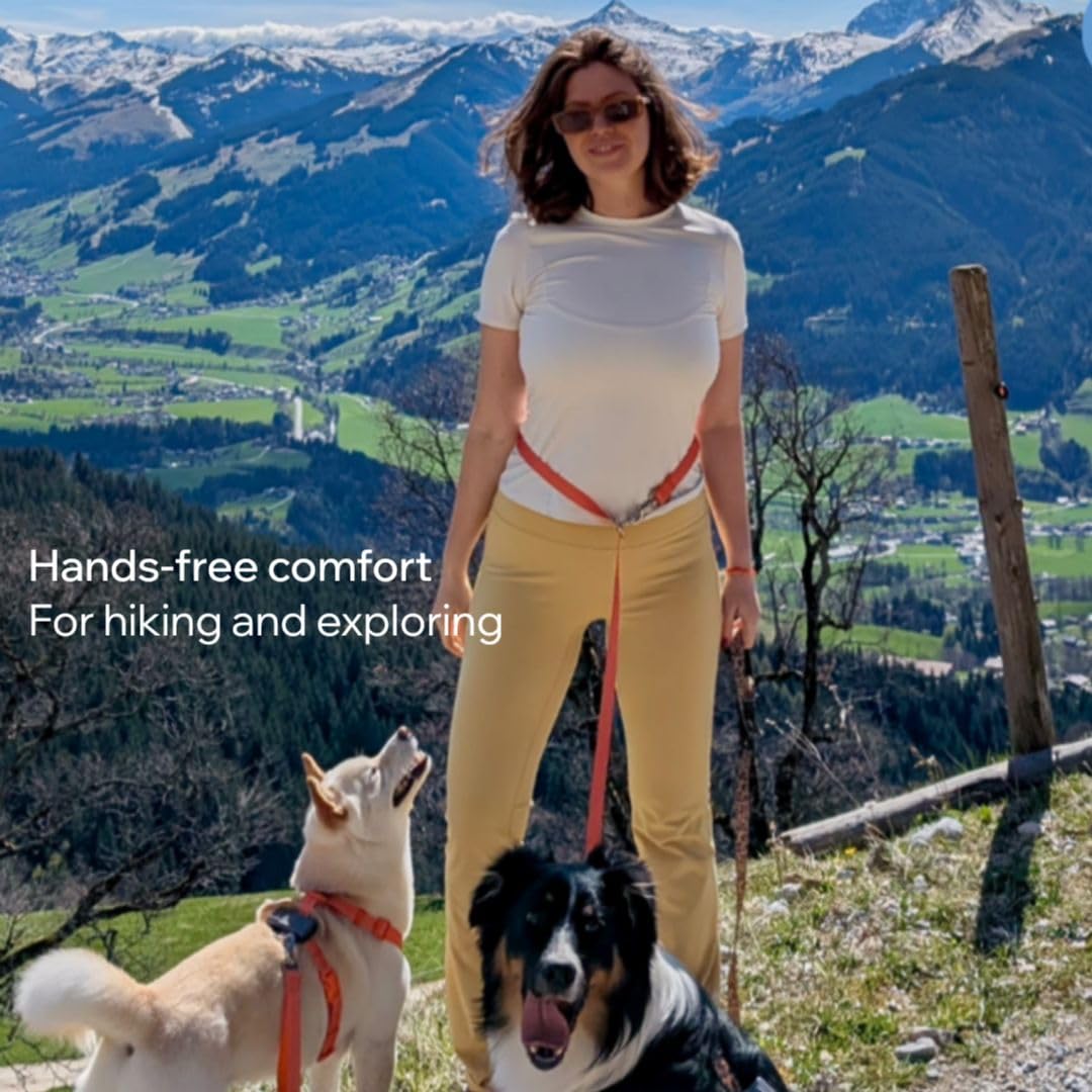 UrbanTails Multifunktionale Hundeleine 5m – Verstellbar, Handsfree, Reflektierend, 2 Gepolsterte Griffe, Trainingsleine für Kleine & Große Hunde (Orange, 5m)
