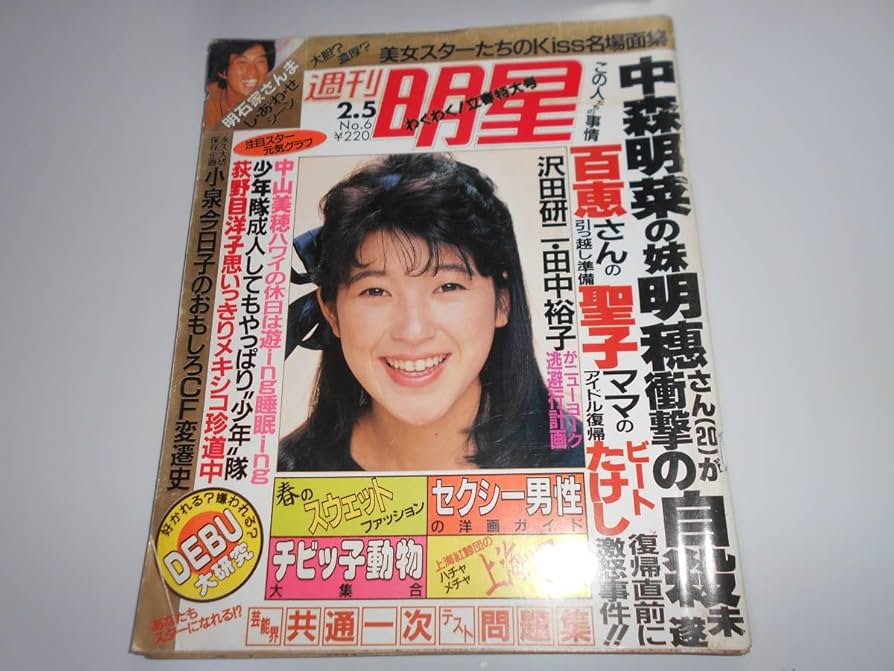 明星ヘアカタログ 85年夏の号　小泉今日子　中森明菜　中山美穂　松田聖子 明星ヘアカタログ 85年夏の号 小泉今日子 中森明菜 中山美穂