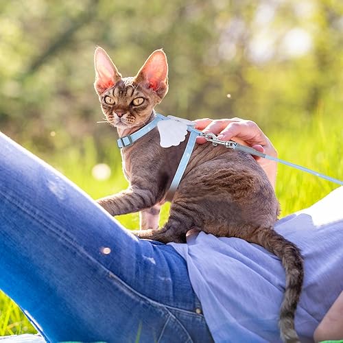Miniatura 7 de TIESOME Juego de arnés y correa para gato, arnés ajustable degradado para gatito, arnés a prueba de escapes con correa para caminar al aire libre