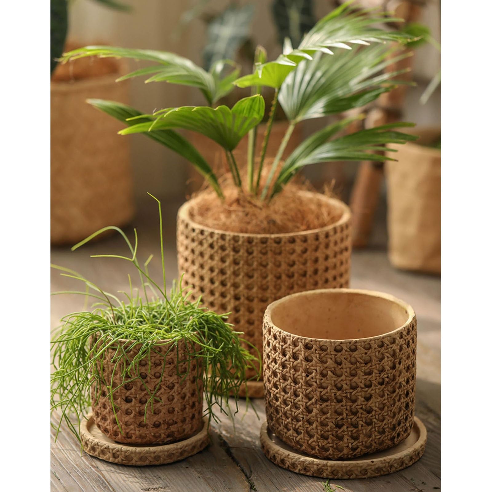 Blumentopf bertpfe Rund Geflochten aus Rattan Zement PflanztopfInnen  Auen Pflanzkbel mit Entwsserungsloch & Untersatzer,Dekorativer  Blumenkbel ...