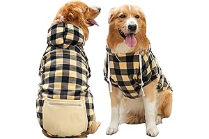 Pitbull Dog Hoodies: Ultimate Protection for Your Canine Companion