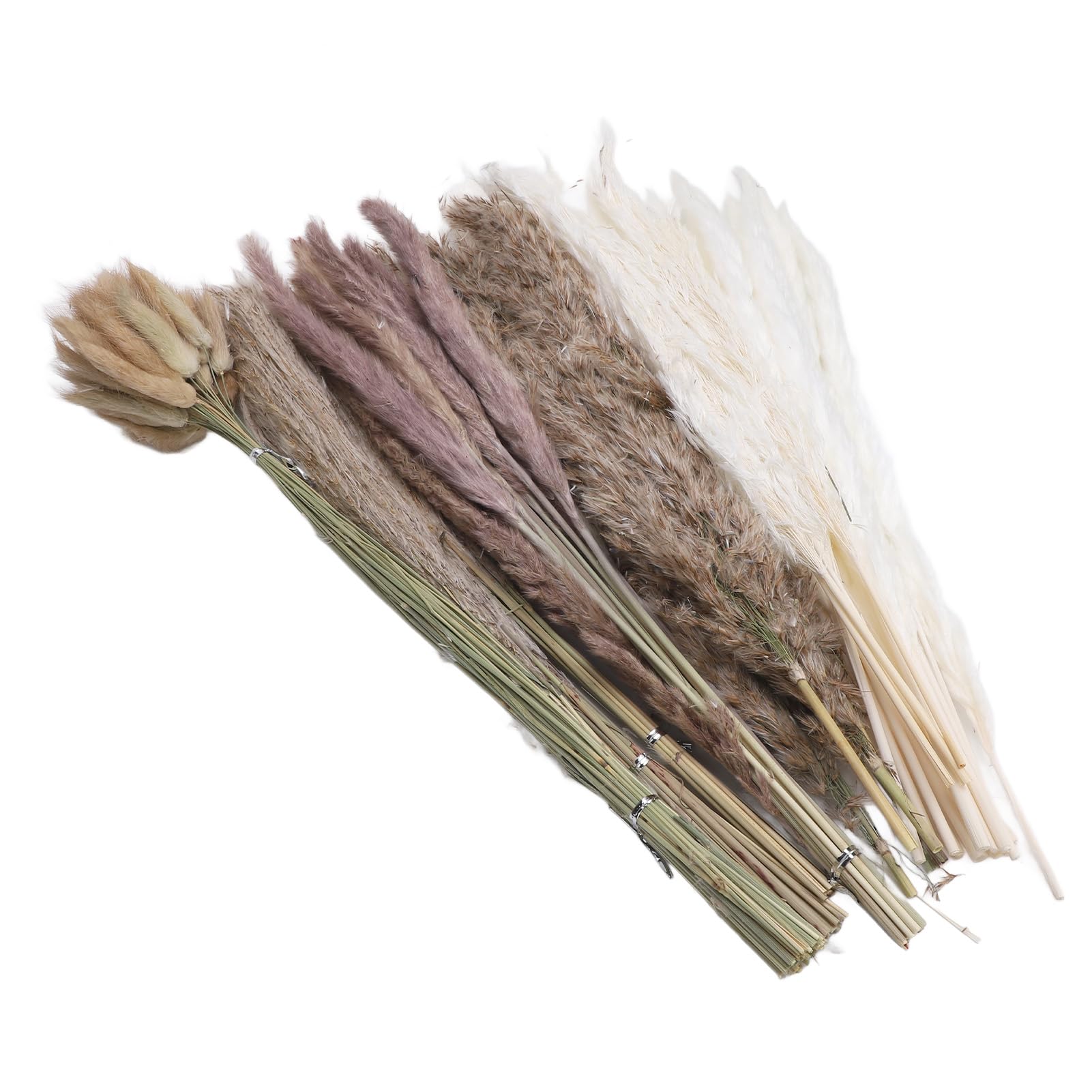 Fleurs séchées de pampas Tbest bouquet rustique premium de 110 pièces