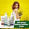 Psoriasis Scalp Shampoo, Body Wash, Oil and Cream (Multipack) (Pack of 4)