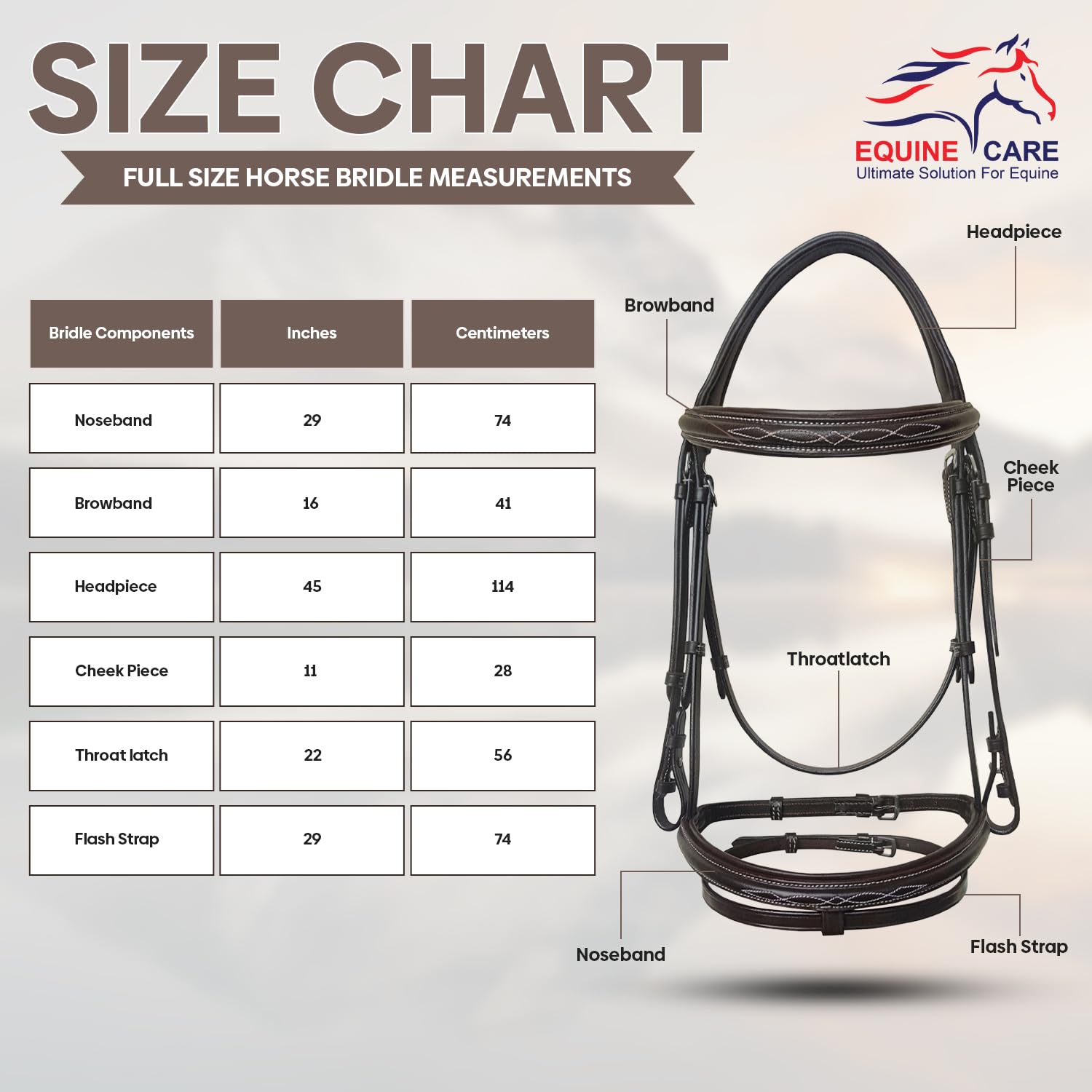 Equine Care Brida de caballo inglés con riendas – Costura elegante, corona acolchada y muserola, cuero curtido vegetal, accesorios de acero inoxidable, tachuelas Hunter de tamaño completo