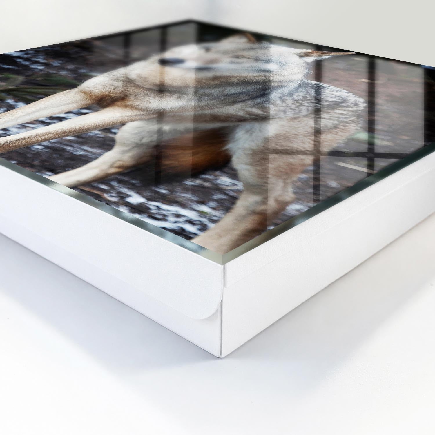 Tulup Armario de Llaves 30x30 cm | Blanco | Derecha | Montaje en Pared | El lobo en el bosque | Frente Decorativo de Cristal | Organizador | 50 Ganchos | de Metal | Kit de Montaje Incluido