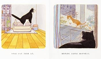 71n4vAIfLcL._AC_UF350,