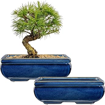 Oairse Set of 2 Bonsai Ceramic Pots, Bonsai Pot with Drainage Holes for Japanese Bonsai Indoor Plants, Retro Decoration for O