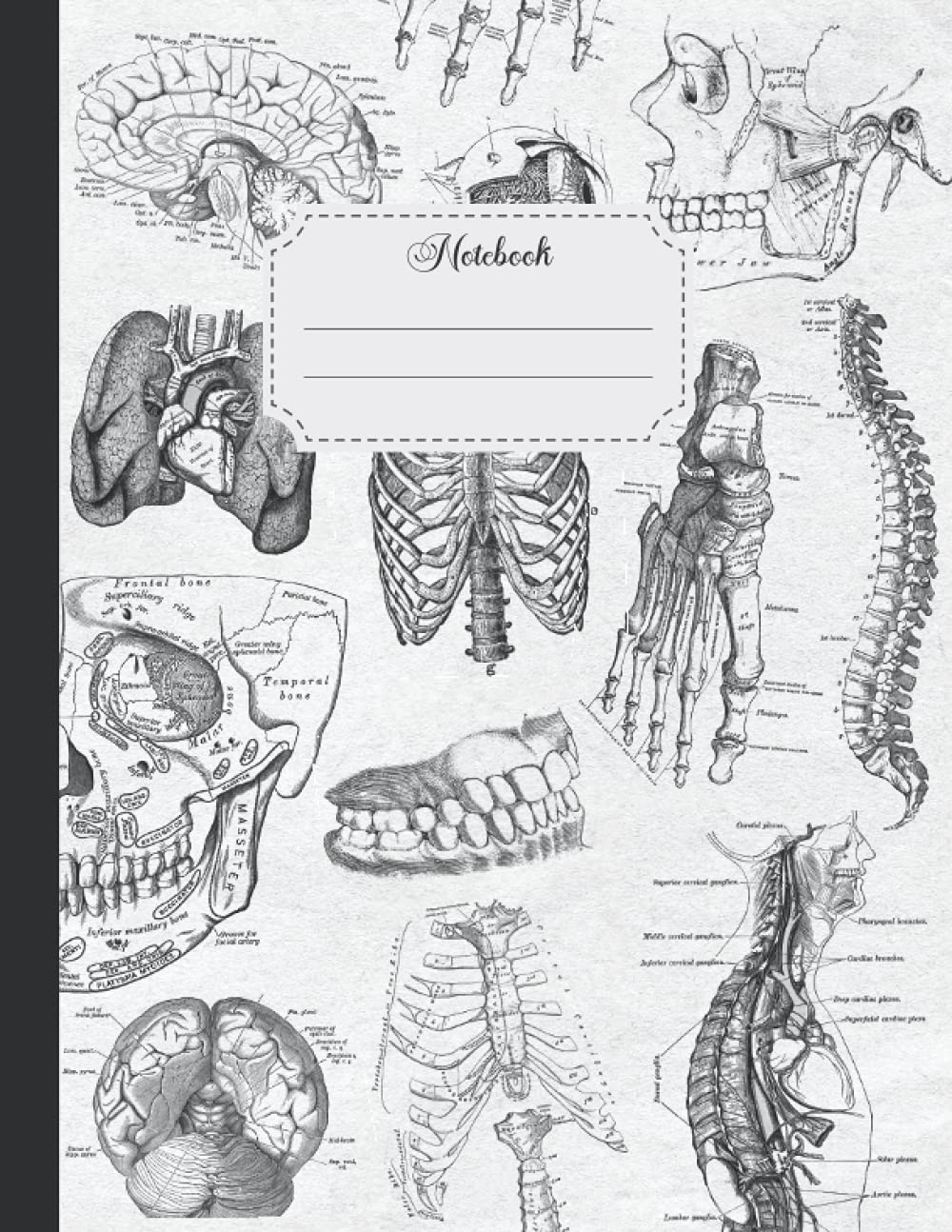 Notebook: Large Vintage Human Anatomy Composition Notebook with College Ruled Paper