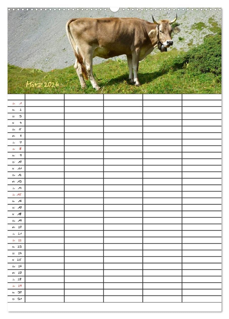 Bauernhoftiere Familienplaner (hochwertiger Premium Wandkalender 2026 DIN A2 hoch), Kunstdruck in Hochglanz: Nutz- und Haustiere (CALVENDO Tiere)