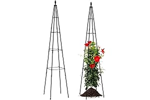 Outdoor Bean Pole Trellis for Climbing Plants, 67" Tall Garden Trellis for...