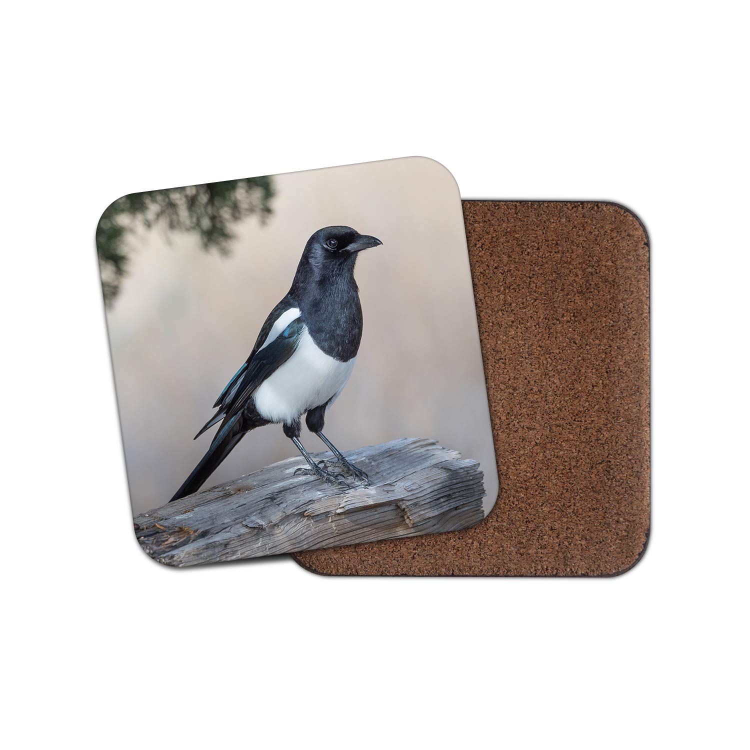 1 x Beautiful Magpie Bird Coaster - Birds Crow Raven Twitcher Dad #8765