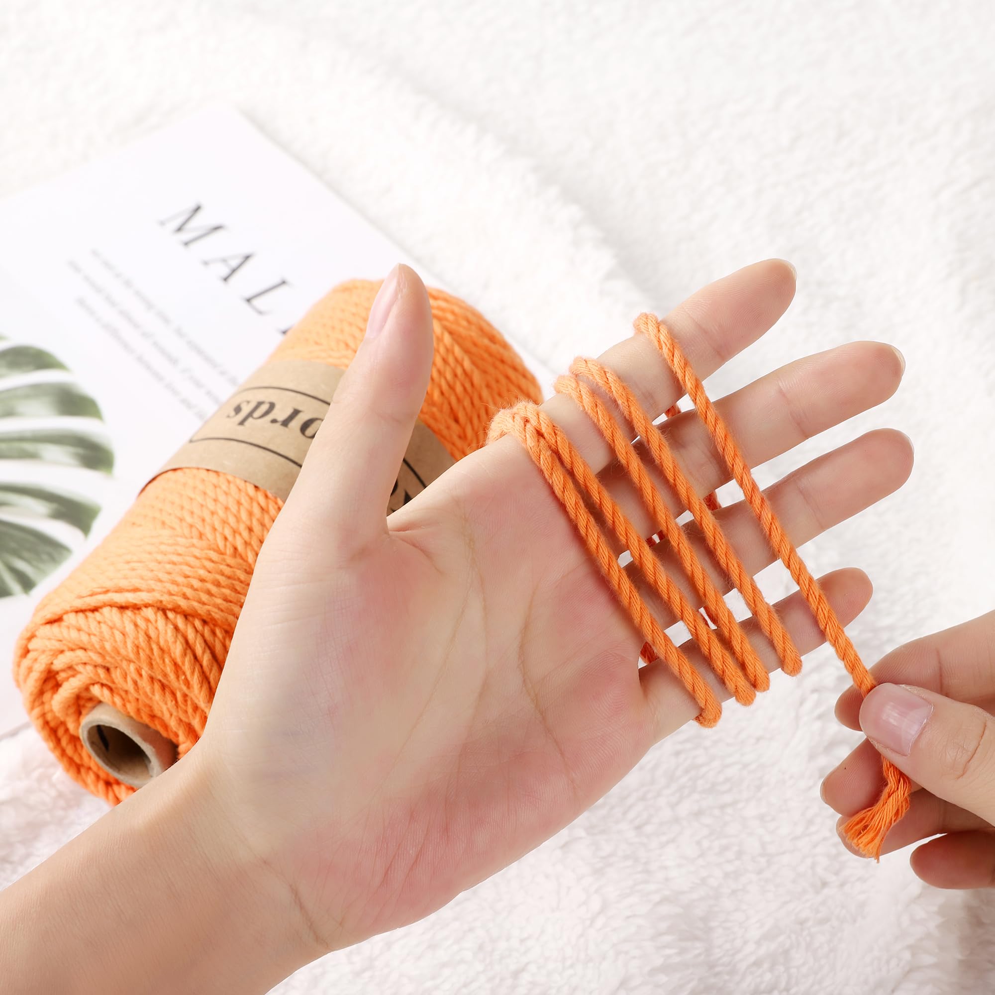 Likeecords Lot de 2 rouleaux de cordon en coton pour macramé, 3 mm x 100 m, 3 brins torsadés, fil pour macramé, fil pour macramé, cordon artisanal, pour tricot, suspension de plantes, décoration de